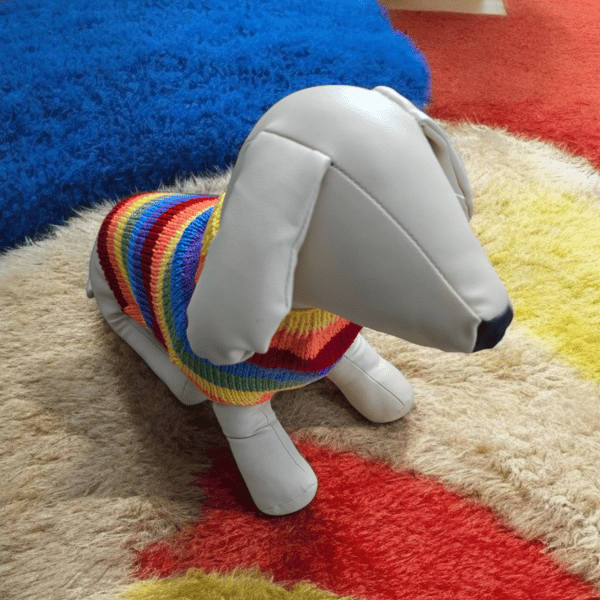 Handknitted rainbow dog coat