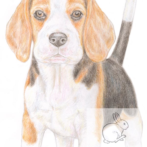 Betty the Beagle - Father's Day Card