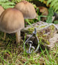 Silver woodland necklace, Autumnal jewellery, toadstool necklace - Image 8