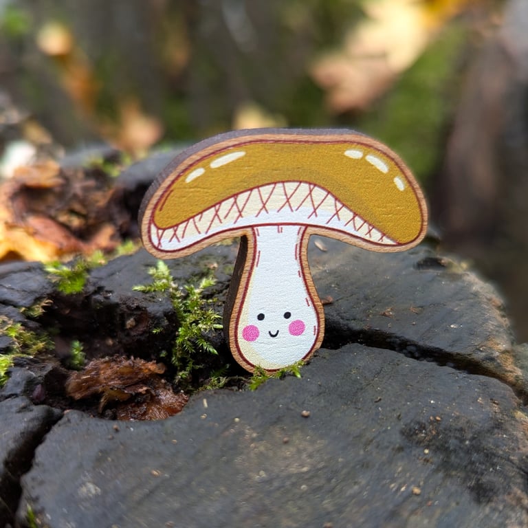 Mushroom pin, Mushroom Christmas gift, Mushroom jewellery, Mushroom brooch