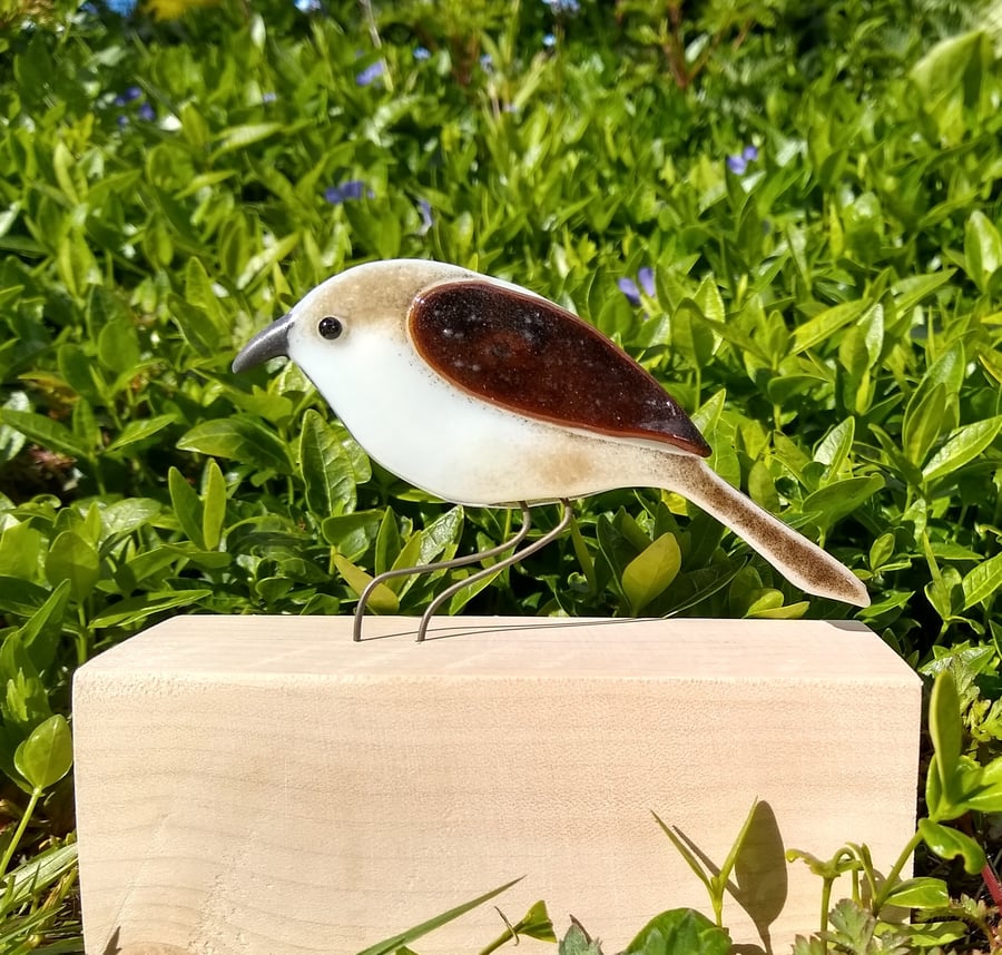 Fused glass tree creeper on wooden stand