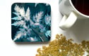 Cyanolumen Leaves Homeware