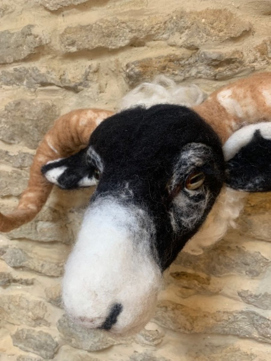 Handmade Faux Taxidermy Scottish Black Face Sheep 