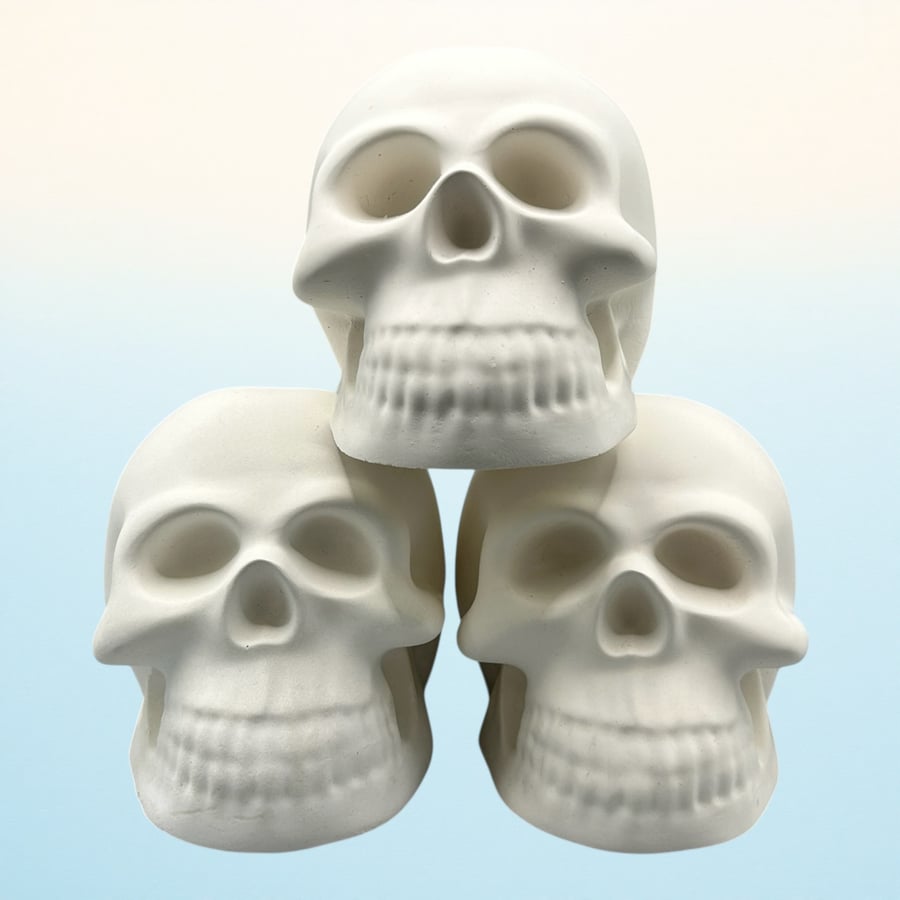 Stonecast White Skull - Macabre Halloween Decoration Suitable for Painting