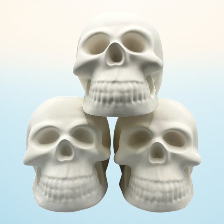 Stonecast White Skull - Macabre Halloween Decoration Suitable for Painting