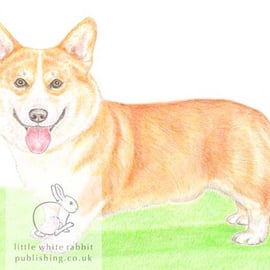 Charles the Corgi - Blank Card