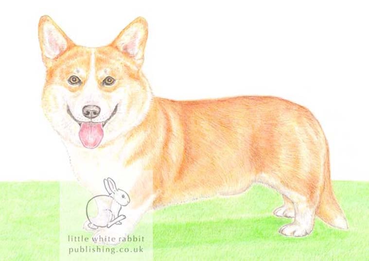 Charles the Corgi - Blank Card