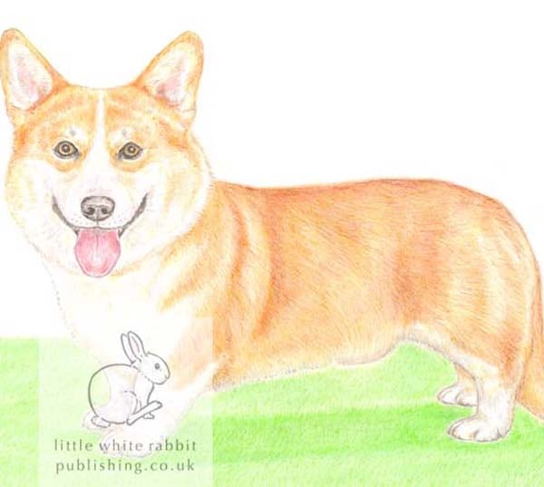 Charles the Corgi - Blank Card