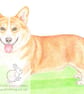 Charles the Corgi - Blank Card - Image 1