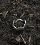 Shoreline ring - Image 3