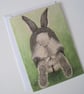 Bobtail Bunny Rabbit Greetings Card - Image 1
