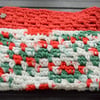 X2 Christmas Dish Cloths 