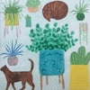 Cats and Cacti, blank greetings card