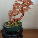 The upright imformal leaning wire bonsai tree 