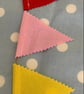 Rainbow Mini Bunting  - Image 2