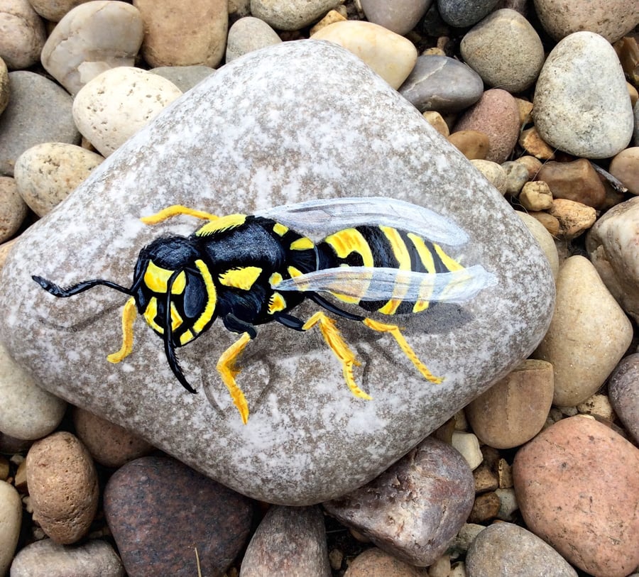 Wasp hand painted stone 