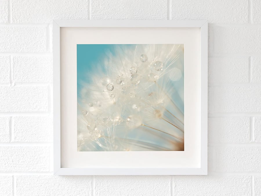 Raindrop dandelion print - bathroom wall art - dandelion seed head art print