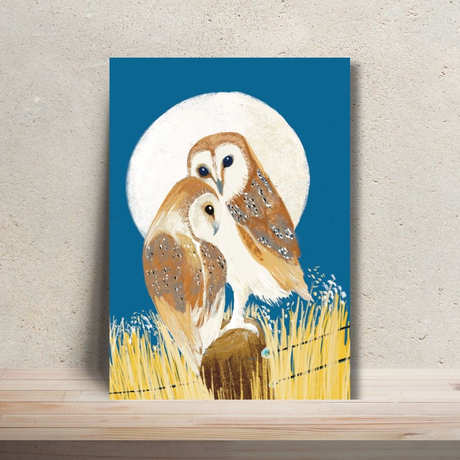 Blank card bird Barn Owl blank card