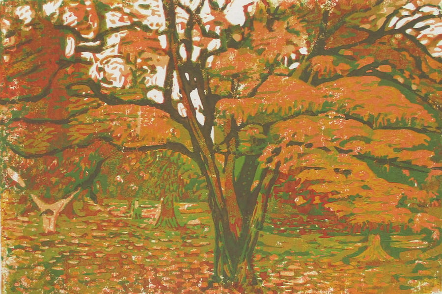 Japanese Maple Autumn Tree - Original Hand Pressed Linocut Print Ltd Edition