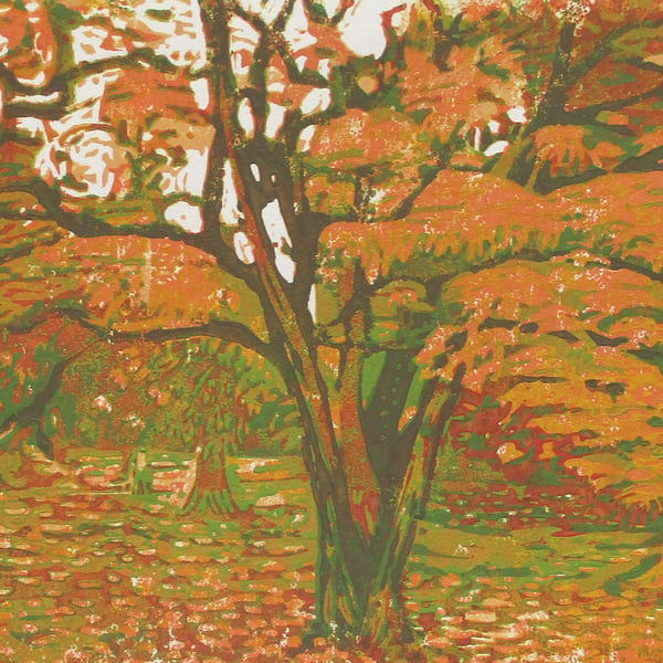 Japanese Maple Autumn Tree - Original Hand Pressed Linocut Print Ltd Edition