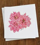 Kalanchoe Blank Floral Card - Image 2