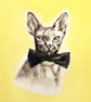 Custom A6 Pet Portrait DRAWING - Image 4