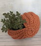 Ammonite basket, crochet shell, home decor, plant holder, nautilus, fossil - Image 6