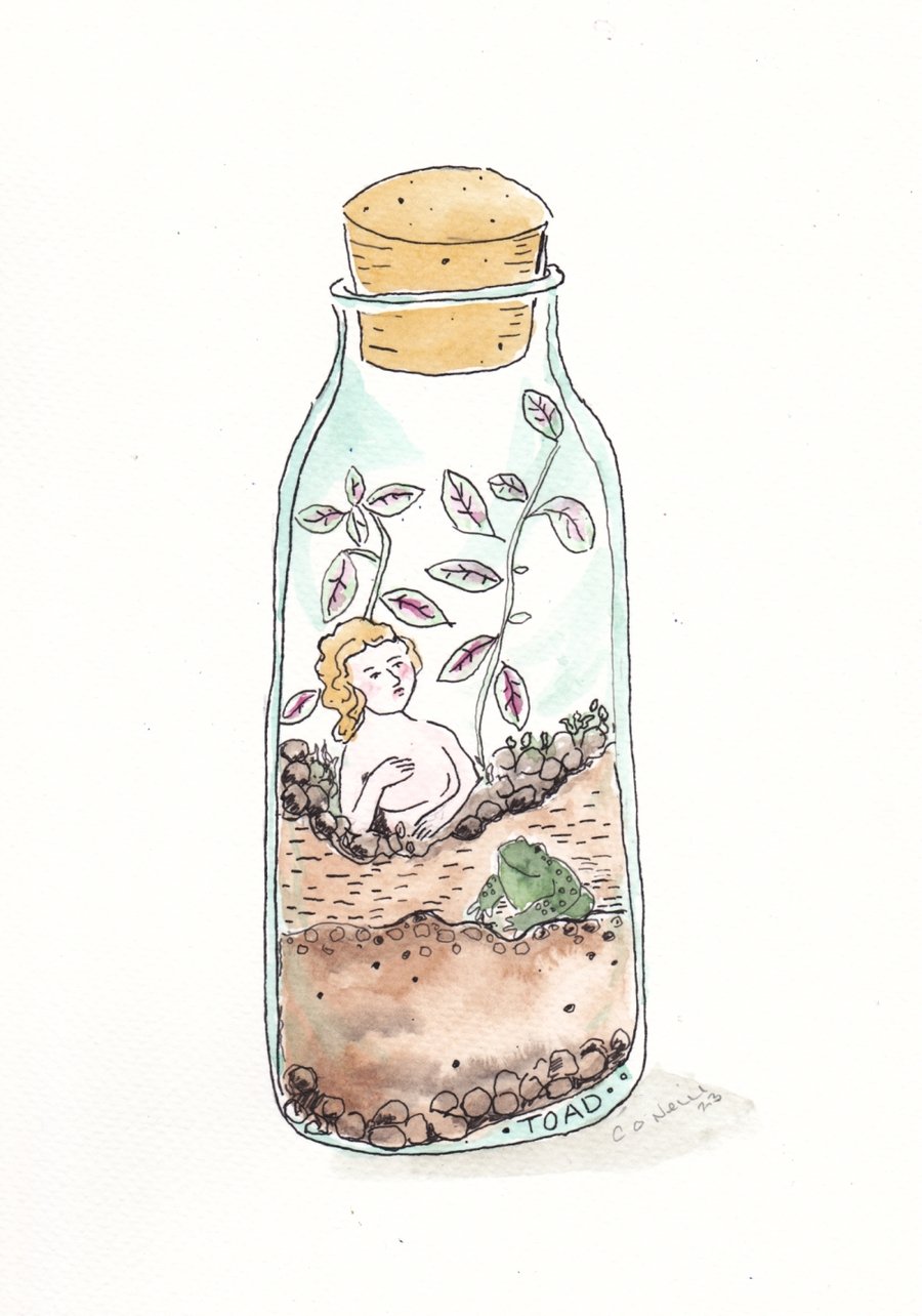 Terrariaum Toad - Watercolour and ink drawing.  Made in Yorkshire
