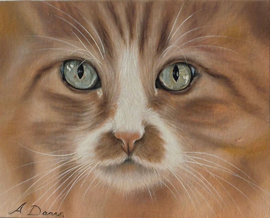 Ginger cat portrait. Oil on board. 25.5 x 20.5 cm