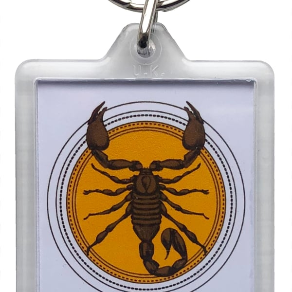 Scorpio Keyring with 50x35mm Insert - The Scorpion 24th October - 22nd November