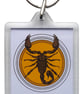 Scorpio Keyring with 50x35mm Insert - The Scorpion 24th October - 22nd November - Image 1