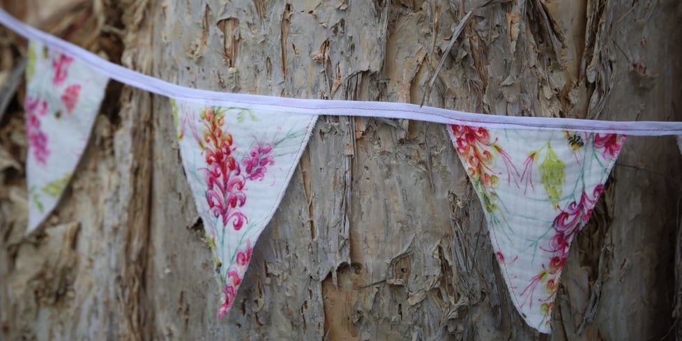 Pink Wattle
