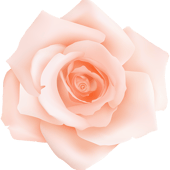 PaperRoseCards