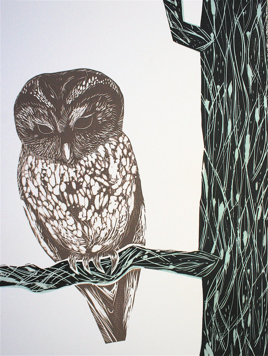 Tawny Owl lino cut