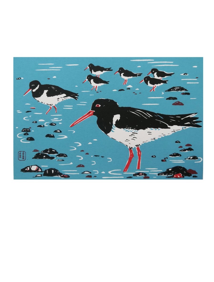 Oystercatchers screenprint