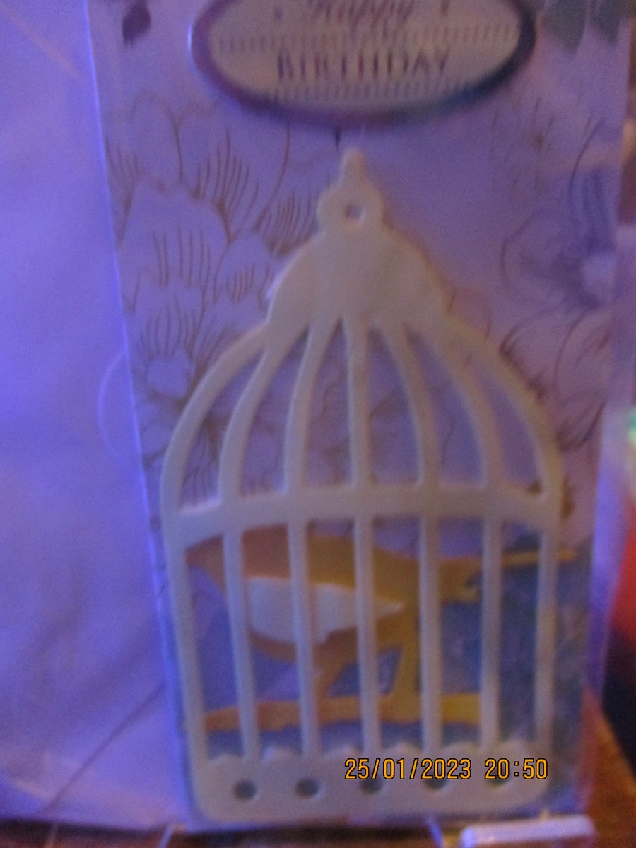 Bird in Bird Cage Slim Card