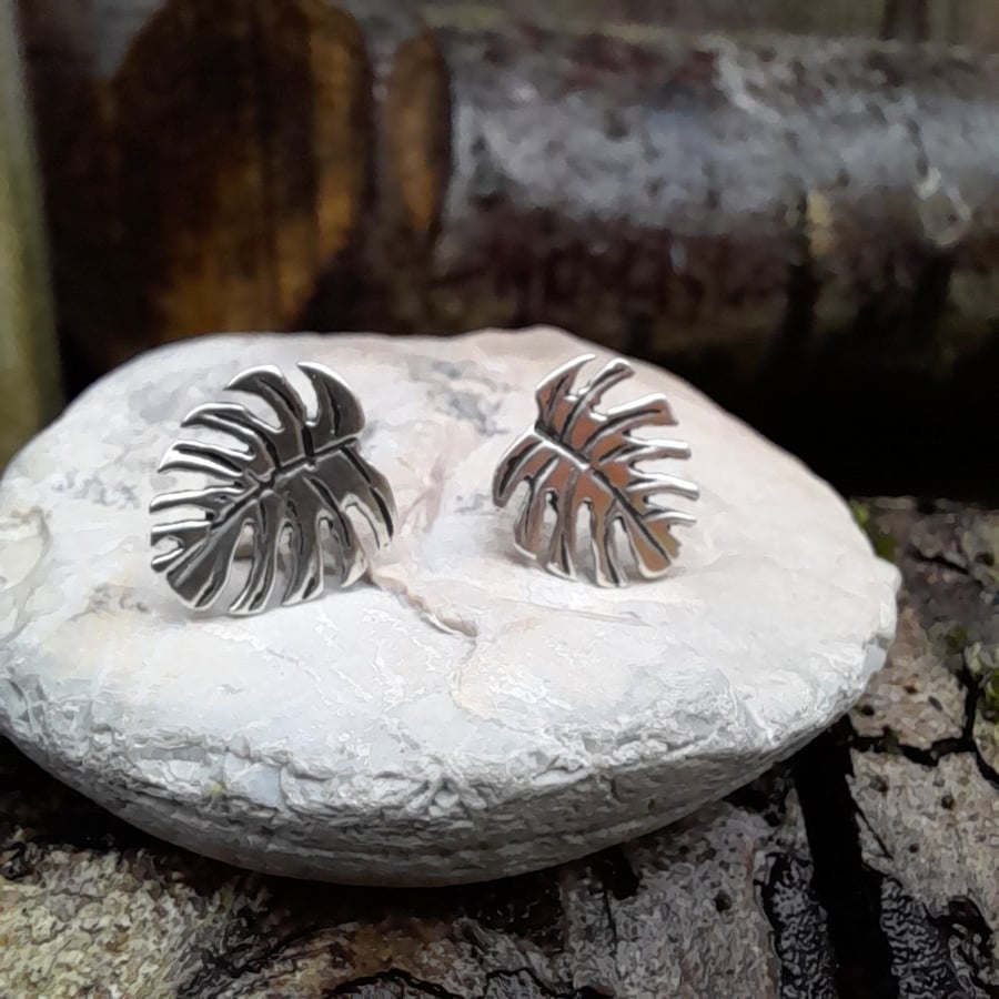 925 sterling silver monstera leaf stud earrings