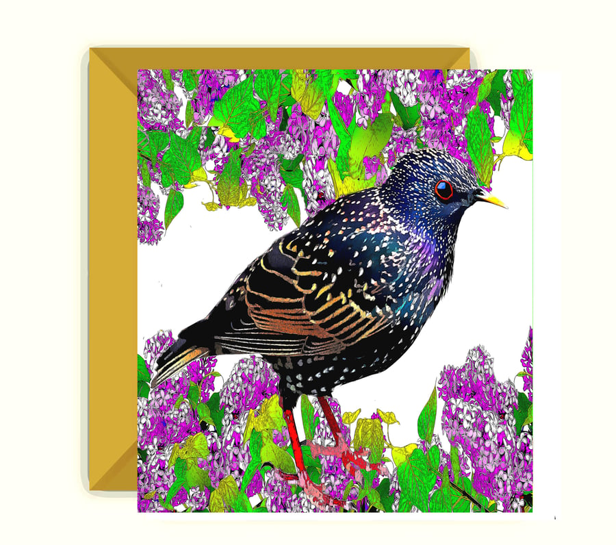Starling in Pink Flowers Greeting, Birthday Card. Stunning Colours