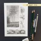 Pencil drawings 3- Tall trees, allium flowers and Cosmos flowers, original art