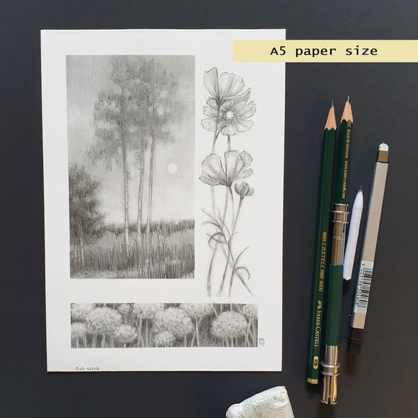 Pencil drawings 3- Tall trees, allium flowers and Cosmos flowers, original art