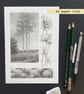 Pencil drawings 3- Tall trees, allium flowers and Cosmos flowers, original art