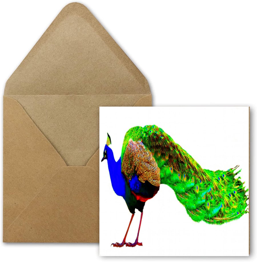 Peacock Birthday, Greeting Card, Unusual