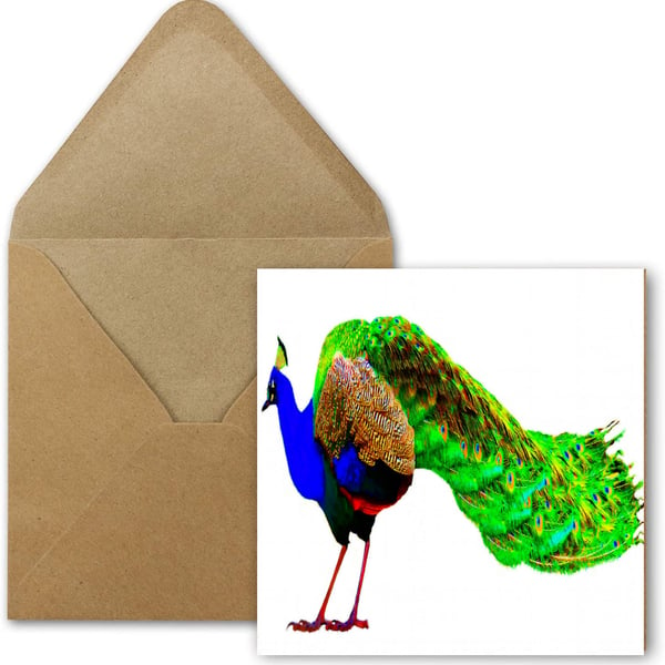 Peacock Birthday, Greeting Card, Unusual