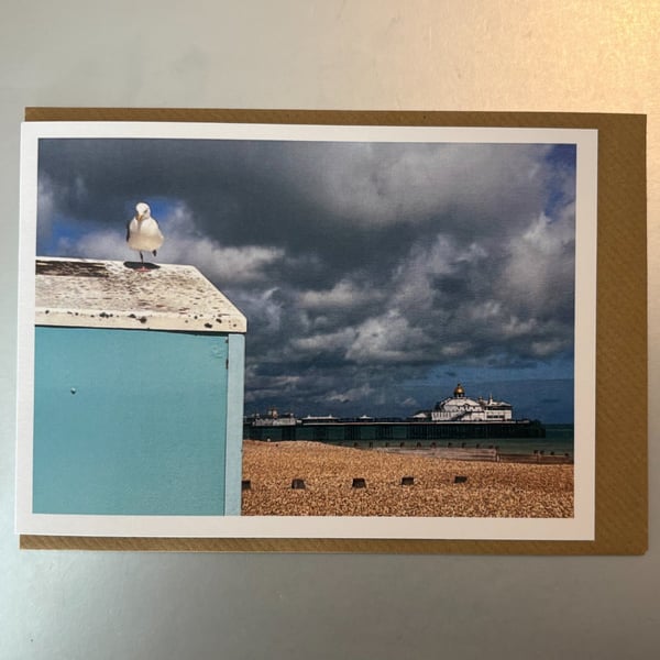 Eastbourne Pier and Seagull A5 Greeting Card