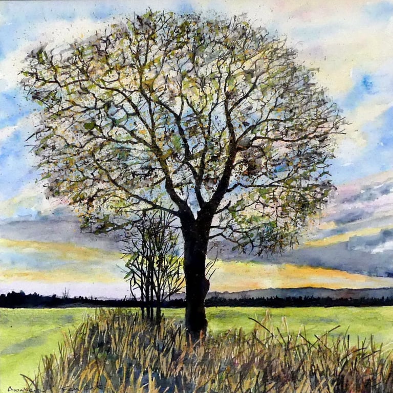 Original Watercolour Painting of Fen  Oak Tree