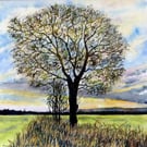 Original Watercolour Painting of Fen  Oak Tree