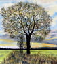 Original Watercolour Painting of Fen  Oak Tree