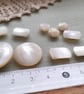 Vintage natural shell buttons, with shanks, in an variety of sizes and shapes - Image 2