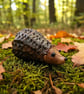 Cute Hedgehog Clay Figurine – Woodland Animal Home Decor - Image 1