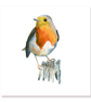 Robin Greeting Card (blank)